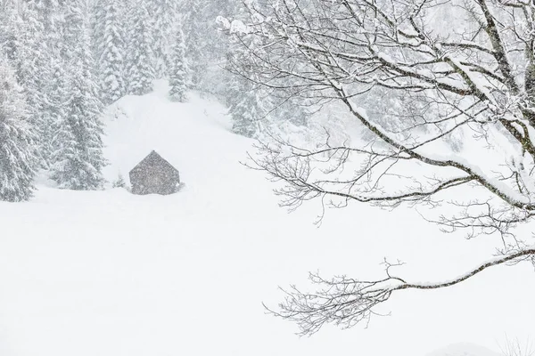 Prachtig Uitzicht Sappada Oude Dorpsgebouwen Durign Sneeuwval — Stockfoto