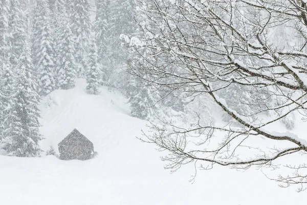 Beautiful View Sappada Ancient Village Buildings Durign Snowfall — Stock Photo, Image