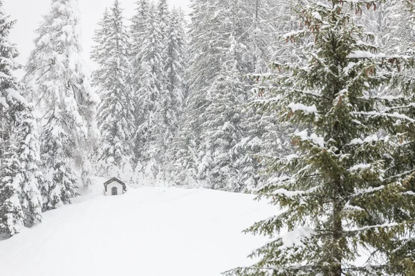 Bellissimo Paesaggio Invernale Con Alberi Innevati Cottage Rurale — Foto Stock