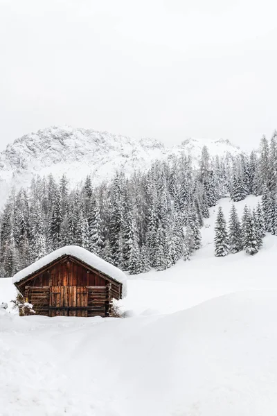 Magia Nieve Paseo Por Antiguo Pueblo Sappada Friuli —  Fotos de Stock