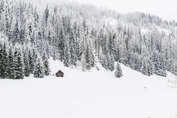 Bellissimo Paesaggio Invernale Con Alberi Innevati Cottage Rurale — Foto Stock