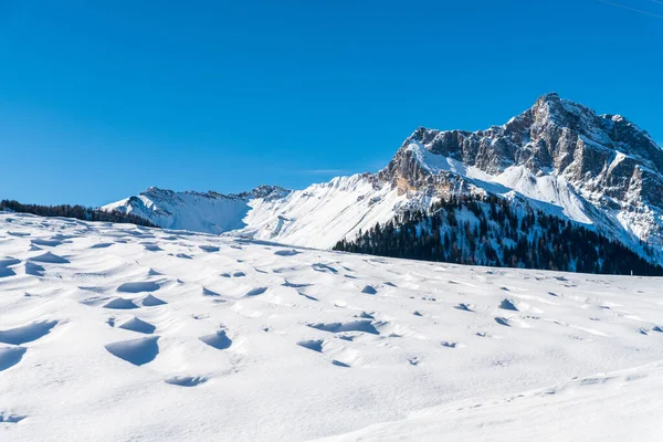 美丽的冬季风景 雪山繁茂 对意大利弗留利 穆里西亚朱利亚地区乌迪恩省Sauris乡的看法 Sauris座落在Carnia山区Friuli 位于Carnic Alps的Lumiei山谷 — 图库照片