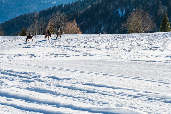 Schöne Winterlandschaft Mit Schneebedeckten Bergen Blick Auf Die Gemeinde Sauris — Stockfoto