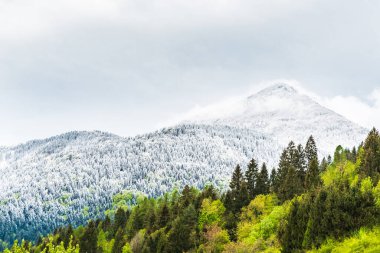 İtalya 'nın Friuli-Venezia Giulia bölgesinde Udine ilindeki Sutrio komünü manzarası