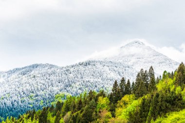 İtalya 'nın Friuli-Venezia Giulia bölgesinde Udine ilindeki Sutrio komünü manzarası