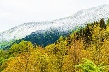 İtalya 'nın Friuli-Venezia Giulia bölgesinde Udine ilindeki Sutrio komünü manzarası