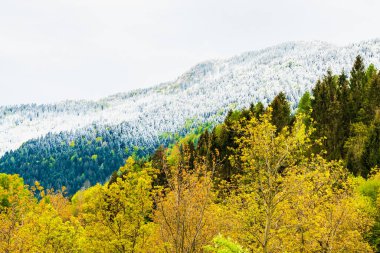 İtalya 'nın Friuli-Venezia Giulia bölgesinde Udine ilindeki Sutrio komünü manzarası