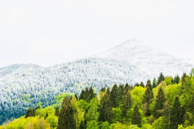 İtalya 'nın Friuli-Venezia Giulia bölgesinde Udine ilindeki Sutrio komünü manzarası