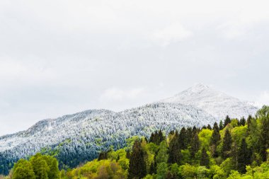 İtalya 'nın Friuli-Venezia Giulia bölgesinde Udine ilindeki Sutrio komünü manzarası