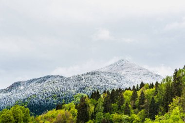 İtalya 'nın Friuli-Venezia Giulia bölgesinde Udine ilindeki Sutrio komünü manzarası