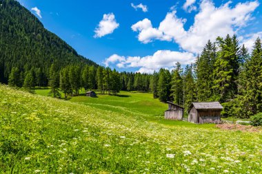 Görkemli Dolomitlerin manzarası Val Fiscalina, Güney Tyrol