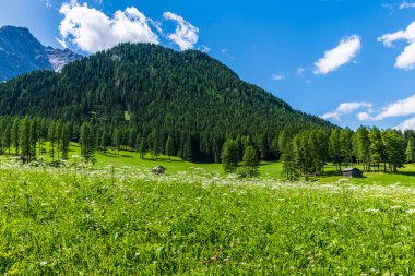 Görkemli Dolomitlerin manzarası Val Fiscalina, Güney Tyrol