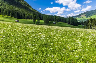 Görkemli Dolomitlerin manzarası Val Fiscalina, Güney Tyrol