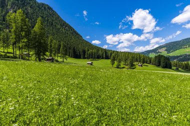 Görkemli Dolomitlerin manzarası Val Fiscalina, Güney Tyrol