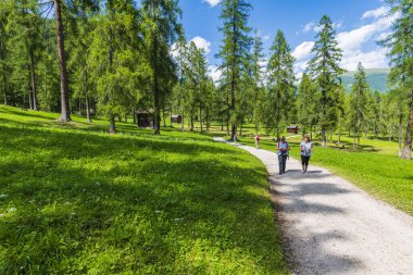 Görkemli Dolomitlerin manzarası Val Fiscalina, Güney Tyrol