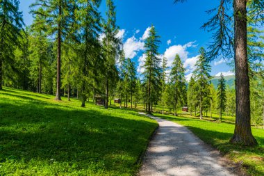 Görkemli Dolomitlerin manzarası Val Fiscalina, Güney Tyrol