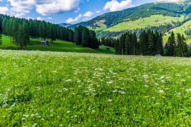 Görkemli Dolomitlerin manzarası Val Fiscalina, Güney Tyrol