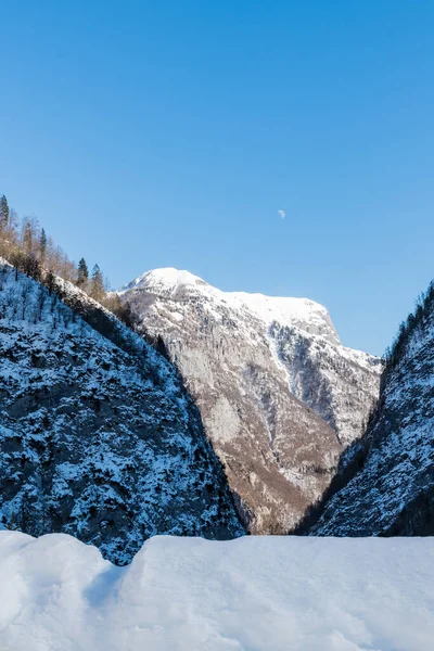 Vista Comuna Sauris Provincia Udine Región Italiana Friuli Venezia Giulia —  Fotos de Stock