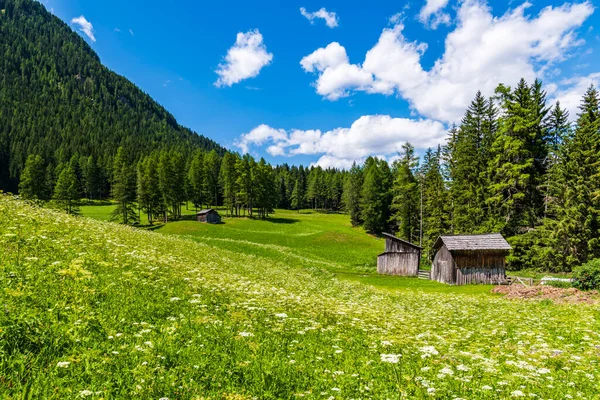 Malowniczy Widok Majestatyczny Krajobraz Dolomitów Val Fiscalina Południowy Tyrol — Zdjęcie stockowe