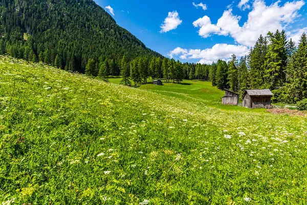 Panoramisch Uitzicht Het Majestueuze Dolomieten Landschap Val Fiscalina Zuid Tirol — Stockfoto