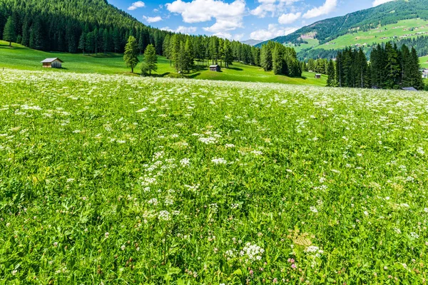 壮大なドロマイトの風景の景色 ヴァル フィスカリーナ 南チロル — ストック写真