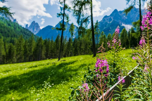 Malowniczy Widok Majestatyczny Krajobraz Dolomitów Val Fiscalina Południowy Tyrol — Zdjęcie stockowe