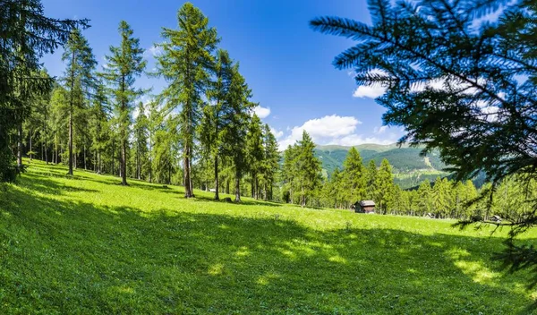 Vista Panoramica Sulle Maestose Dolomiti Val Fiscalina Alto Adige — Foto Stock