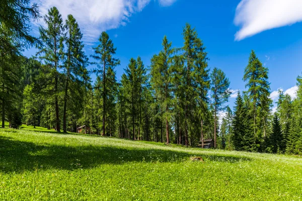 Görkemli Dolomitlerin manzarası Val Fiscalina, Güney Tyrol