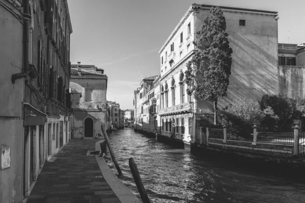 파렴치 2019 이탈리아 베니스 카르니 시대의 베네치아 — 스톡 사진