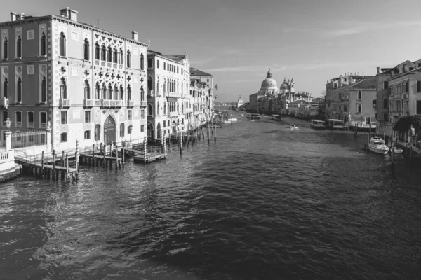 Февраля 2019 Венеция Италия Венеция Время Карнавала — стоковое фото
