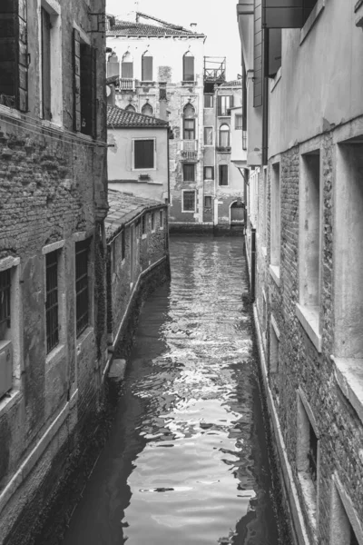 Февраля 2019 Венеция Италия Улица Красивой Венеции Время Карнавала — стоковое фото