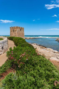 Deniz kıyısının güzel manzarası 