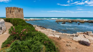 Deniz kıyısının güzel manzarası 