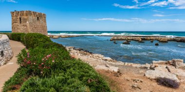 Deniz kıyısının güzel manzarası 