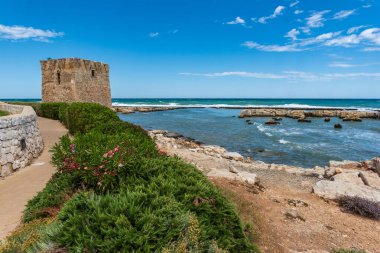 Deniz kıyısının güzel manzarası 