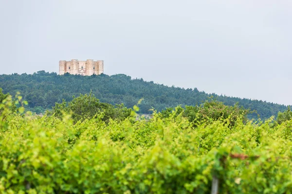 蒙特城堡 Castel Del Monte 13世纪由神圣罗马帝国皇帝腓特烈二世建造的城堡 意大利 — 图库照片