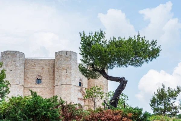 Castel Del Monte Una Fortezza Del Xiii Secolo Costruita Dall — Foto Stock