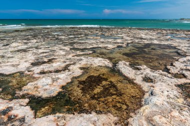 Monopoli 'de güzel deniz ve sahil