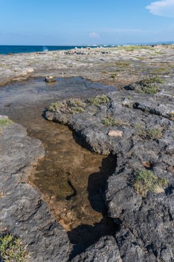 Monopoli 'de güzel deniz ve sahil