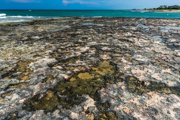Monopoli 'de güzel deniz ve sahil