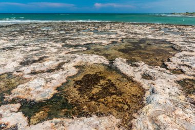 Monopoli 'de güzel deniz ve sahil