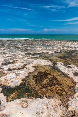 Monopoli yakınlarındaki deniz manzarası harika.