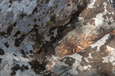 Massafra ve vadileri. Kayanın içine evler inşa edildi. Keşfedilmesi gereken bir Puglia. İtalya