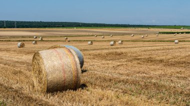 Yazın bir tarlada saman balyaları.