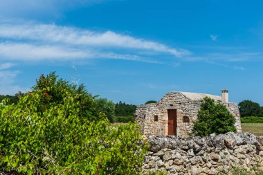 Güzel Masseria Nuove Caselle İtalya 'da