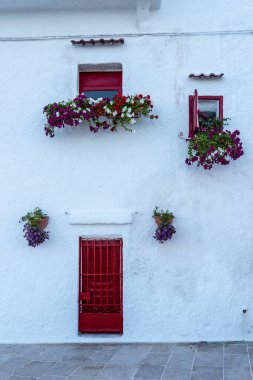 Ön planda çiçekler olan eski ahşap pencere..