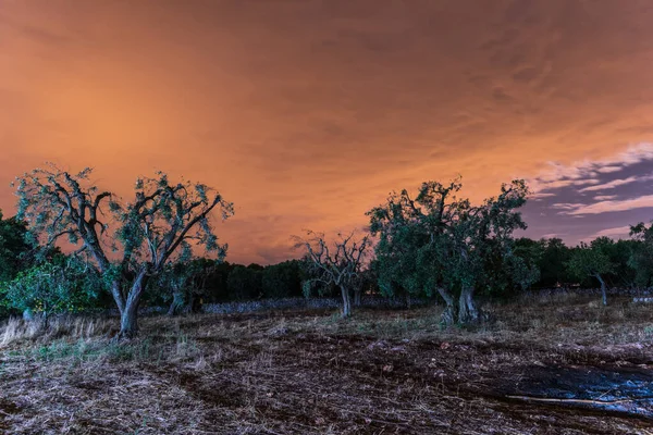 Schöne Masseria Nuove Caselle Italien — Stockfoto