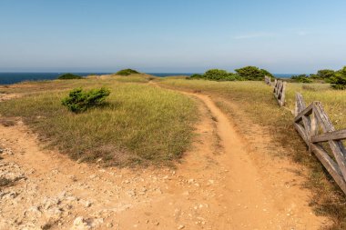 Sahili ve denizi olan güzel bir manzara.