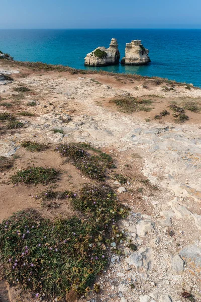 Bela Vista Praia Torre Dell Orso — Fotografia de Stock