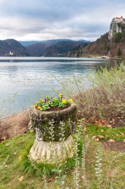 açık hava manzarasının resimsel görüntüsü